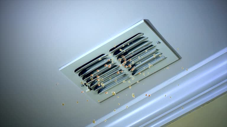 Best Air Duct Mold Removal  in West Wood, UT