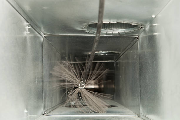 Best Professional Duct Cleaning Services  in West Wood, UT